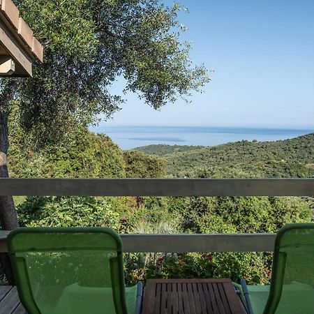 Les Terrasses De Scaglioli Villa Villanova Kültér fotó