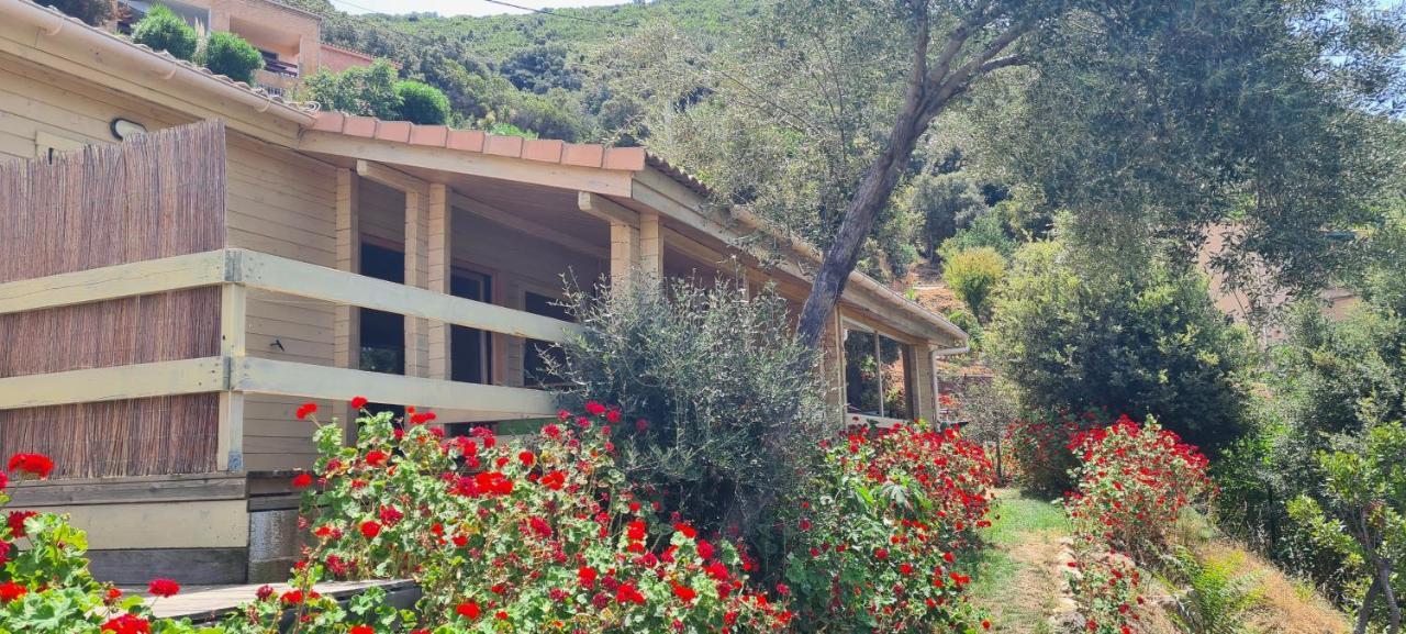 Les Terrasses De Scaglioli Villa Villanova Kültér fotó