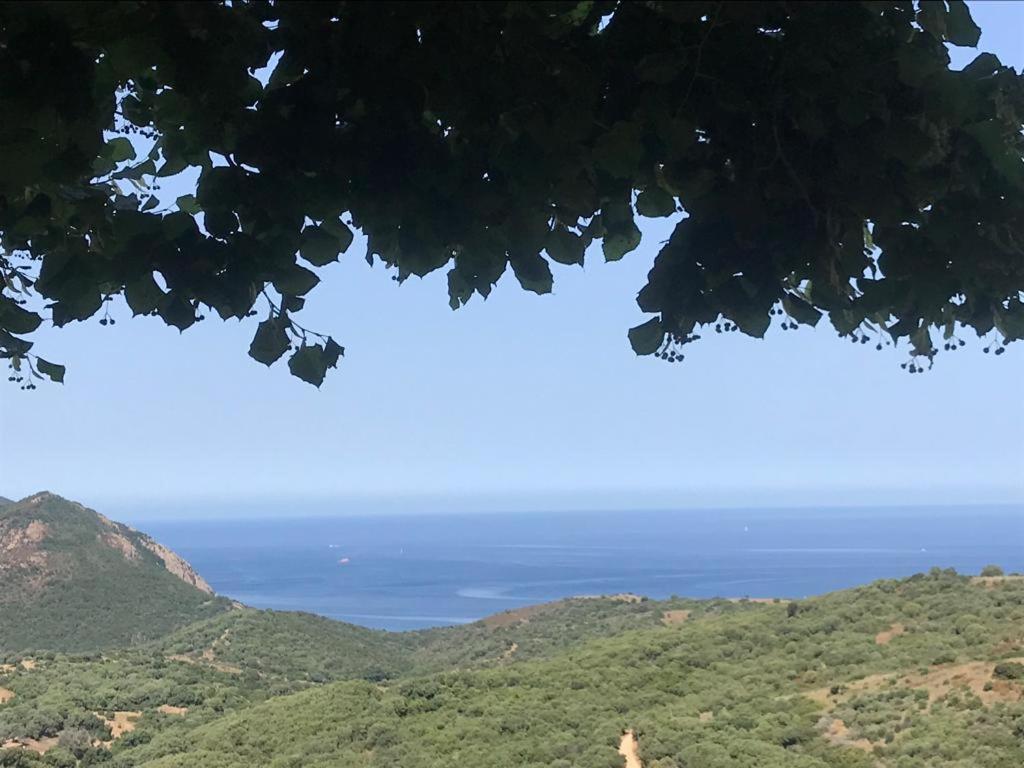 Les Terrasses De Scaglioli Villa Villanova Kültér fotó