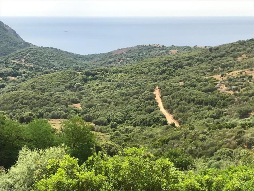 Les Terrasses De Scaglioli Villa Villanova Kültér fotó