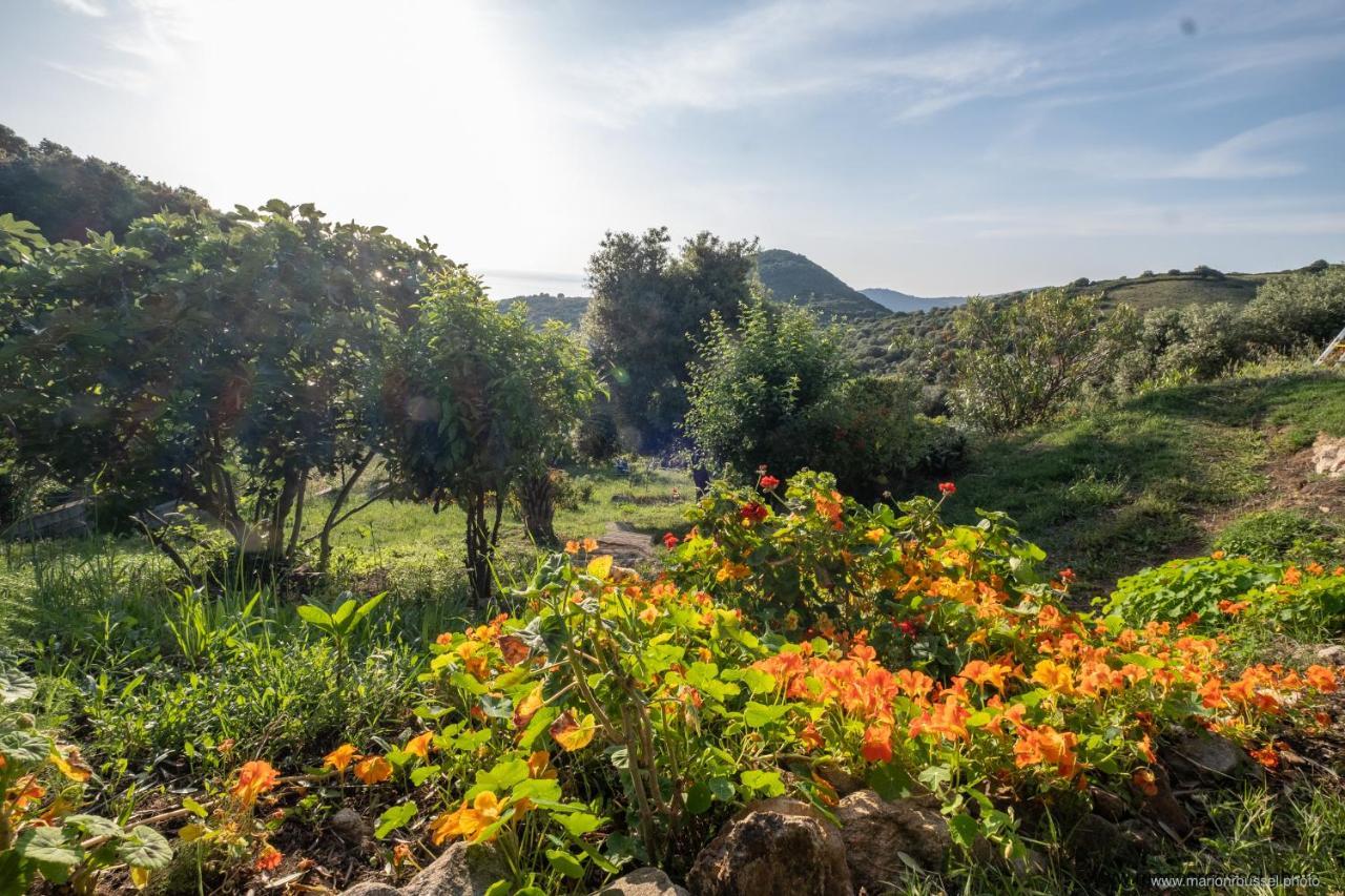 Les Terrasses De Scaglioli Villa Villanova Kültér fotó