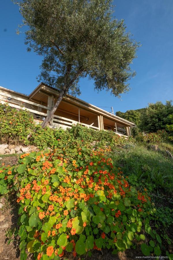 Les Terrasses De Scaglioli Villa Villanova Kültér fotó