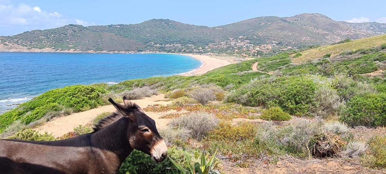 Les Terrasses De Scaglioli Villa Villanova Kültér fotó